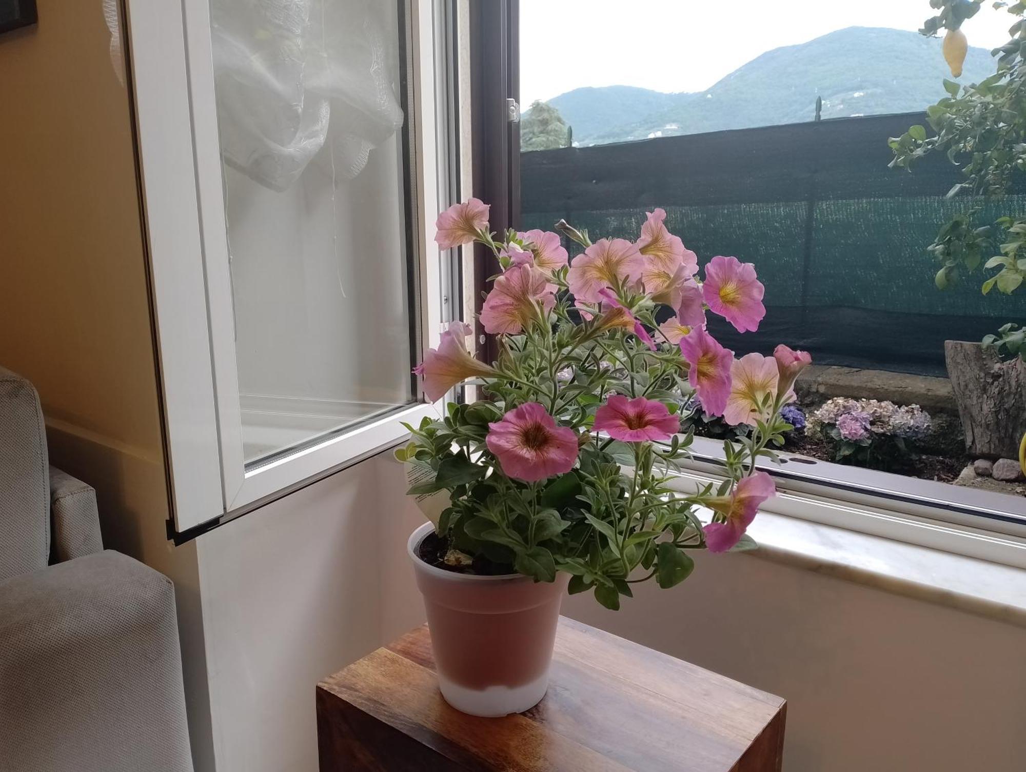Casa Veve' Apartment La Spezia Bagian luar foto